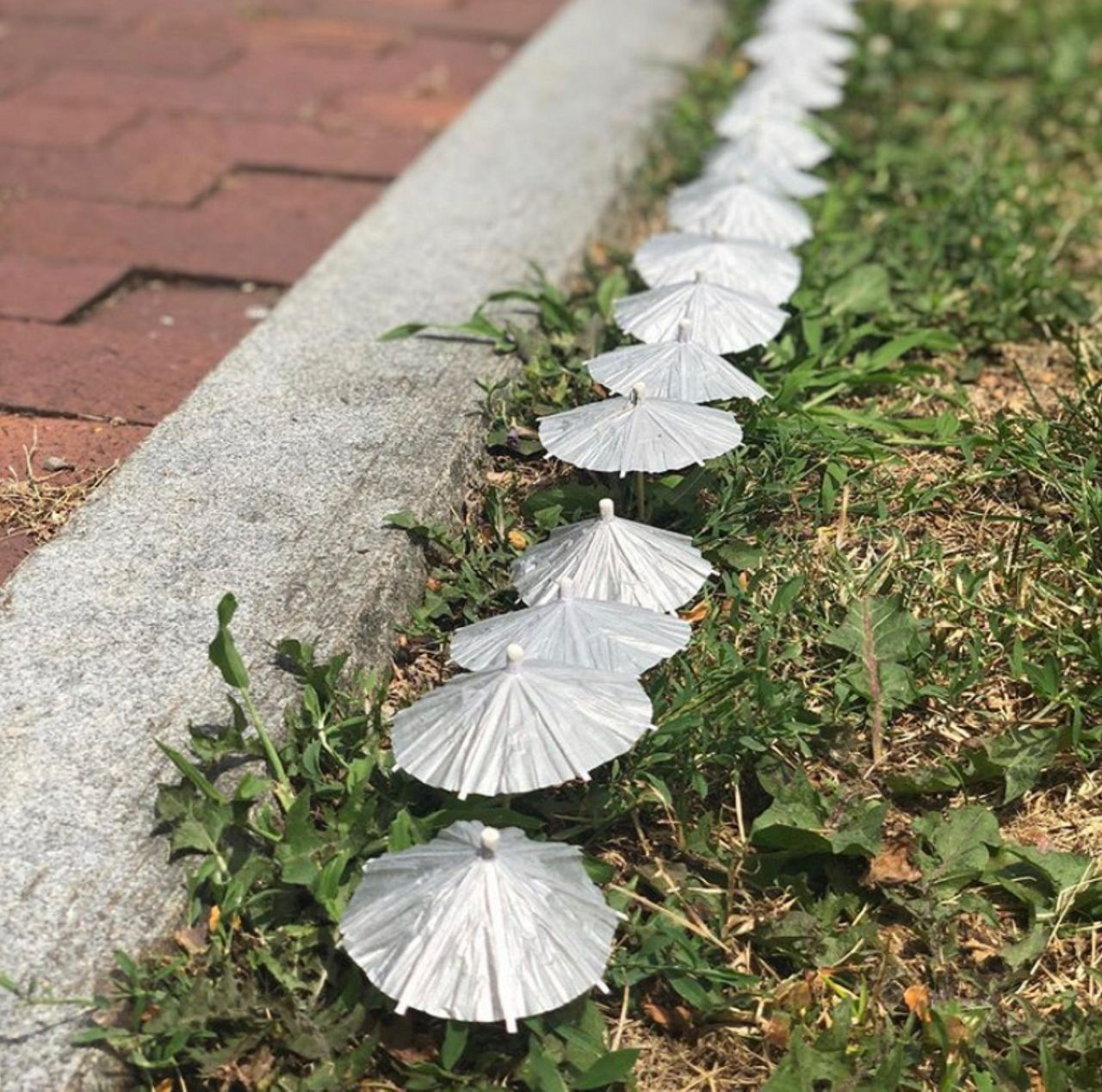 Syracuse Man Makes Tiny Umbrellas